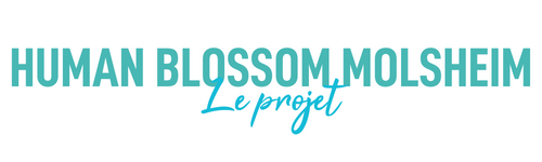 Nouvelle box de CrossFit à Molsheim