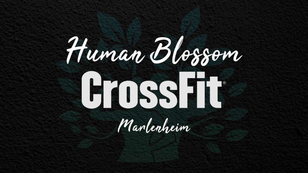 Human Blossom Marlenheim : la nouvelle salle de sport qui va révolutionner votre entraînement entre Strasbourg et Molsheim